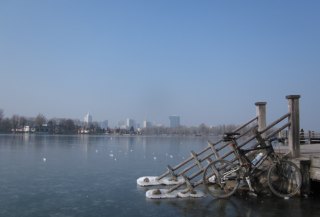Winter an der alten Donau